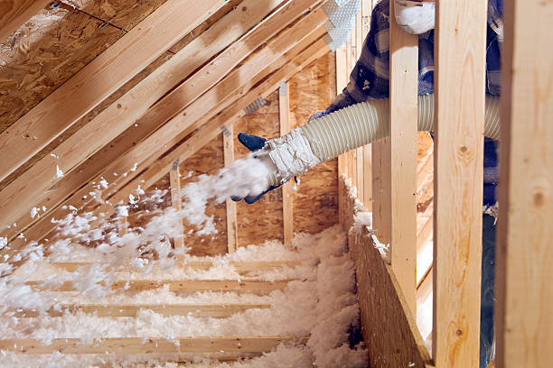 Best Attic Insulation Installation  in St Michaels, MD